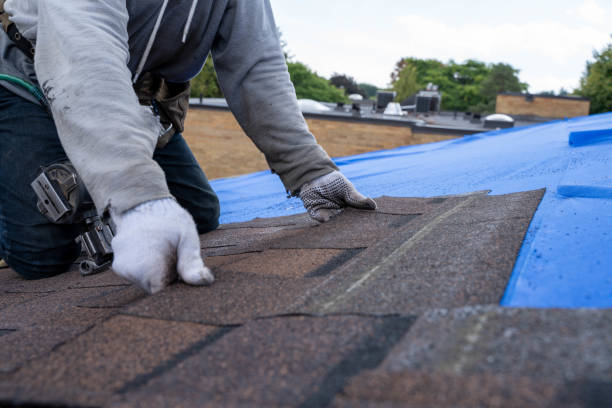 Best Storm Damage Roof Repair  in Clementon, NJ